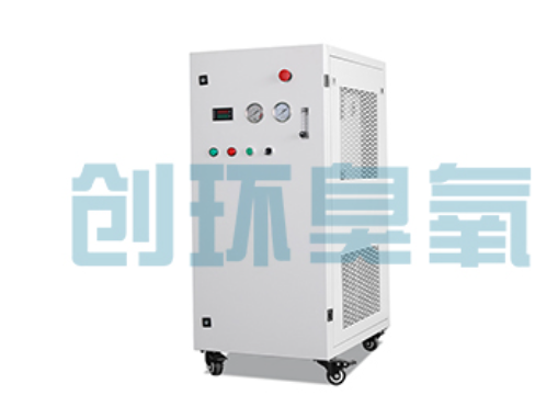 莆田石斑鱼养殖水质调控完整指南：臭氧发生器配置与操作步骤