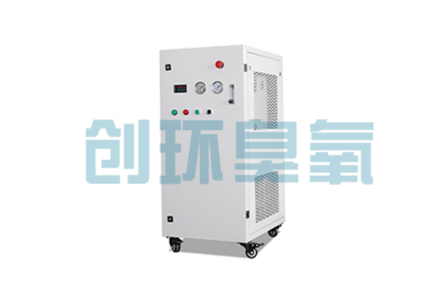 莆田比传统换水更高效？臭氧发生器在石斑鱼养殖中的水质净化原理解析