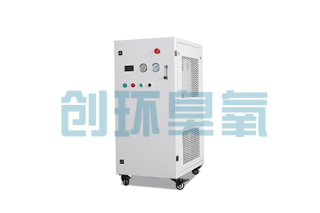 莆田比传统换水更高效?臭氧发生器在石斑鱼养殖中的水质净化原理解析